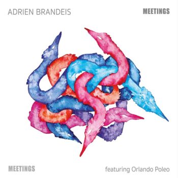 brandeis cdz album