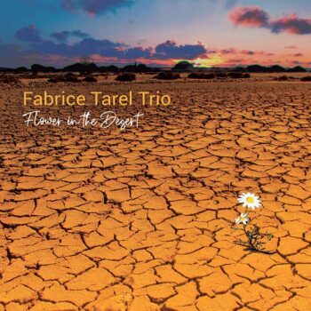 fabricetarel cdz album