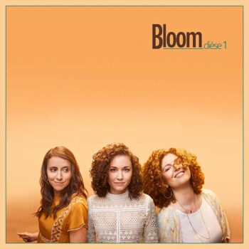 nomartiste cdz albumbloom